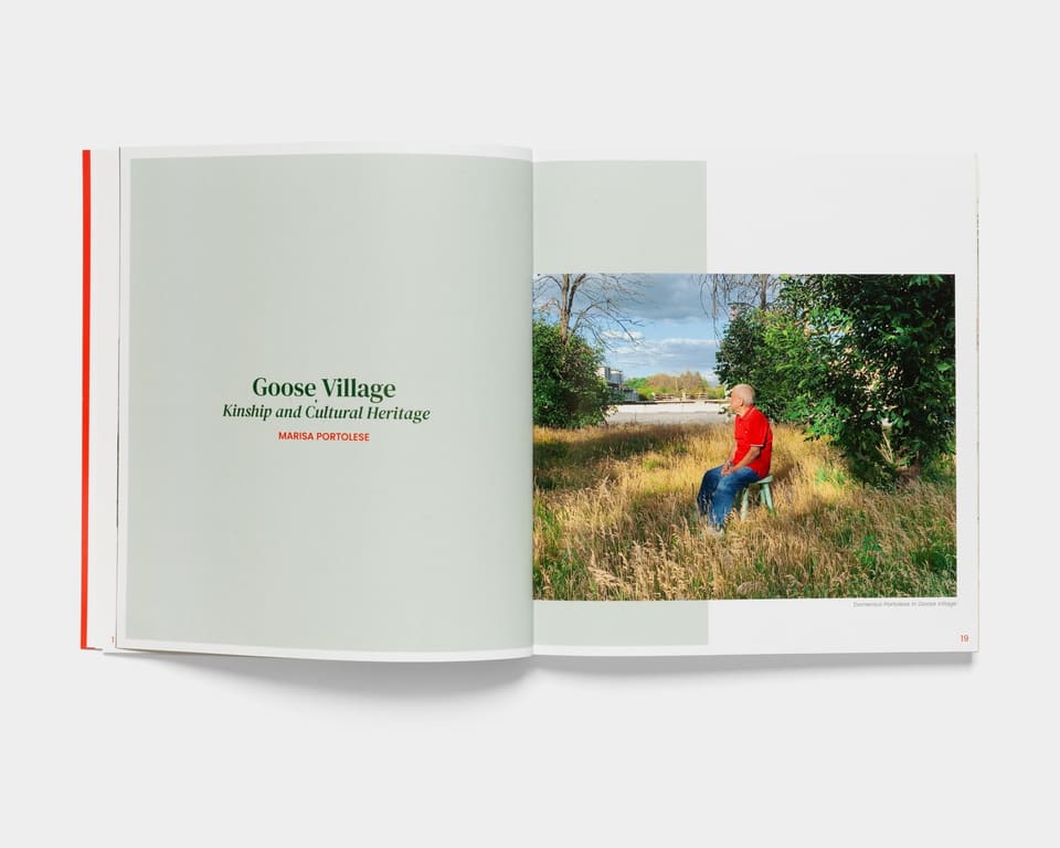 Goose Village publication (2)